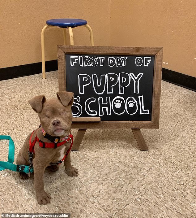Cory had Puddin trained - or attend 'puppy school' and the pup seemed ready to take her first day on