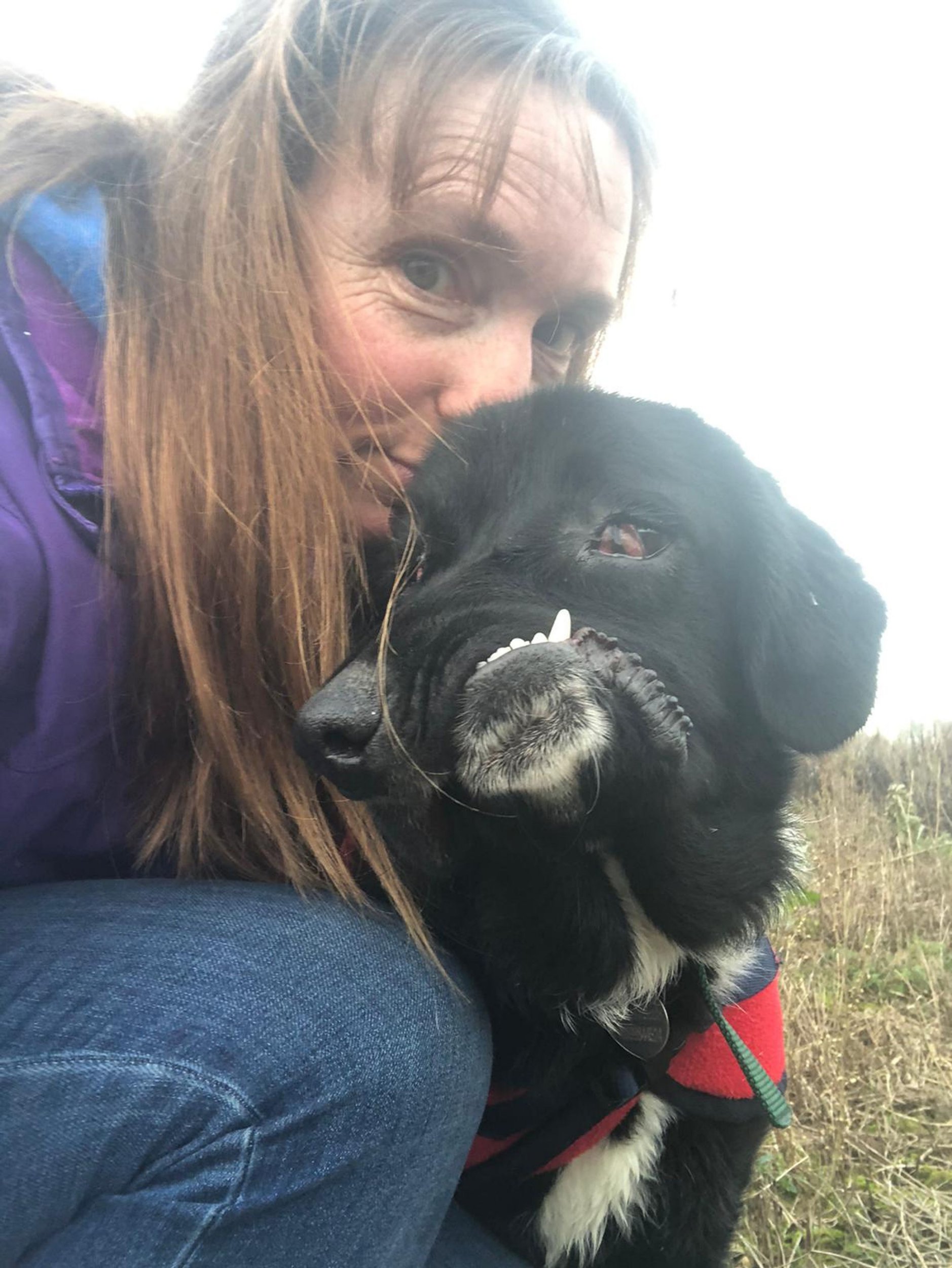 PIC FROM Kennedy News and Media (PICTURED: ZOE CASEY, 46, WHO IS A VOLUNTEER FOSTERER WITH SAFE RESCUE FOR DOGS IN NORWICH, NORFOLK, WITH WONKY-FACED PUP BETHANY, EIGHT MONTHS) A puppy born with such a wonky face that she leaves people 'shocked' is looking for her forever home with a family who will 'look deeper than her facial disfigurement for her heart of gold'. Bethany, an eight-month-old Labrador cross, was born with such a severe facial disfigurement that her entire snout twists and droops to one side, exposing her teeth. While her lop-sided face may be startling to look at, it doesn't impact the 'happy-go-lucky' pooch's health in any way. DISCLAIMER: While Kennedy News and Media uses its best endeavours to establish the copyright and authenticity of all pictures supplied, it accepts no liability for any damage, loss or legal action caused by the use of images supplied and the publication of images is solely at your discretion. SEE KENNEDY NEWS COPY - 0161 697 4266