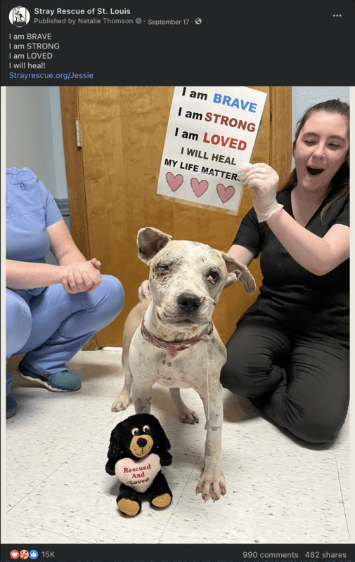 Screenshot 2023 12 28 at 11.47.05 AM copy