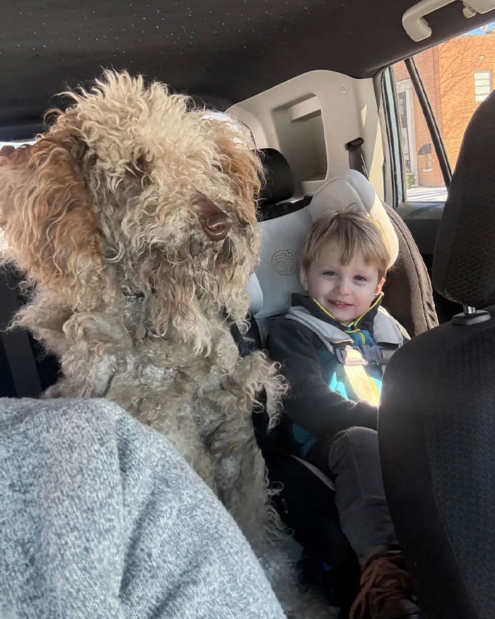 Curly-haired dog and young child sitting in car seats after vet tech rescued abandoned dog during snowstorm.