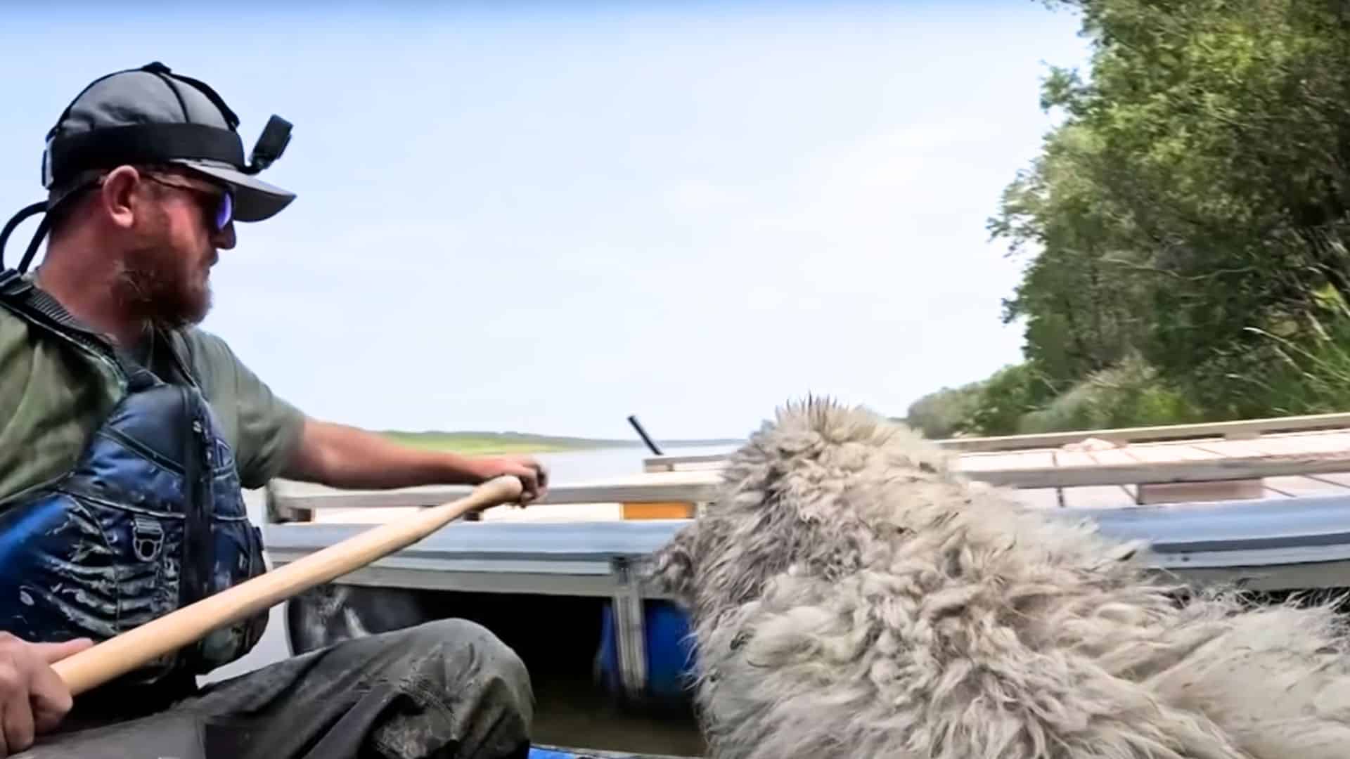 After finally getting her loose, he lifted her onto his canoe.
