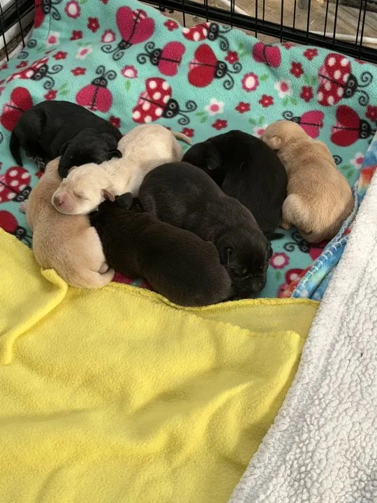 Photo courtesy: Stevie Lynn Lewis